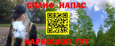 стафф Будённовск