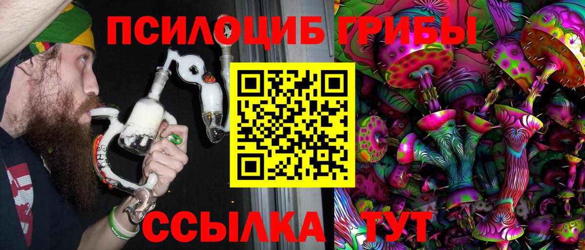 Псилоцибиновые грибы Cubensis Пятигорск